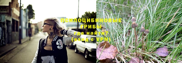марки lsd Осинники